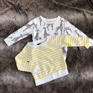 Two sweatshirts Zara and Gap size 6/7 girl